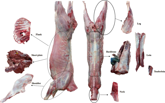 MUTTON cut 6 WAY Australian Frozen