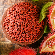 ANNATTO SEEDS / Biji Benih Achoite