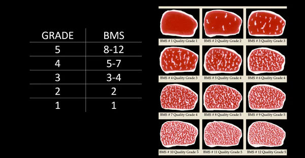 BEEF WAGYU TENDERLOIN Japan Halal