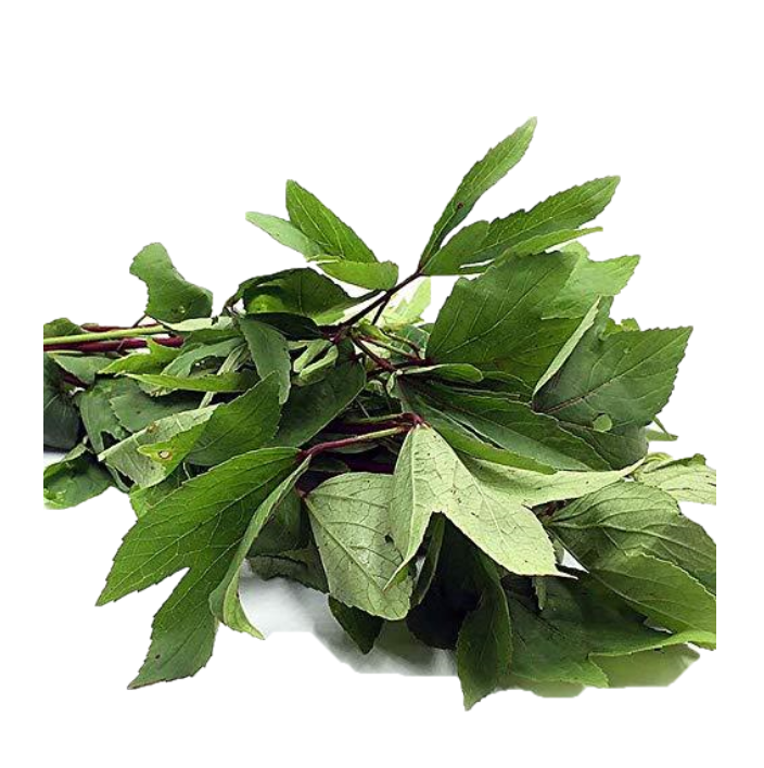 DAUN ASAM / ROSELLE Leaf 阿三叶 – Manja Foods