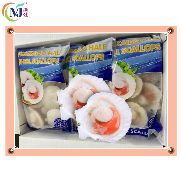 扇贝 白色 1/2 壳 10-20pcs 中国