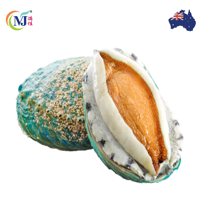 JADE TIGER ABALONE Australian