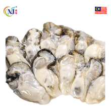 OYSTER MEAT Frozen 1kg+-/PACK