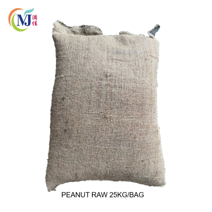 PEANUT RAW / Kacang Tanah (Standard Saiz with skin)