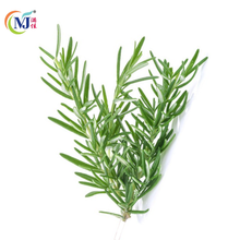 ROSEMARY Fresh