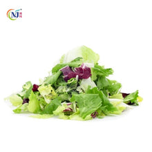 SALAD MIXED/ MESCLUN Cameron