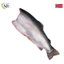 FISH SALMON TROUT WHOLE Norwegian Frozen HEAD LESS