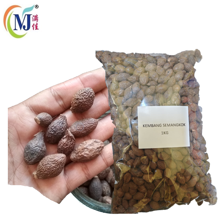 KEMBANG SEMANGKOK / Scaphium affine / Malva Nut 胖大海