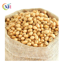 KACANG SOYA BEAN Holland