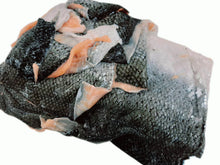 FISH SALMON SKIN Frozen