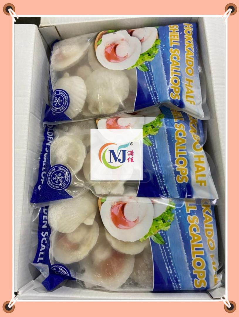 SCALLOP WHITE 1/2 Shell 10-20pcs China – Manja Foods