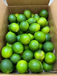 LIMAU NIPIS /LIME Green BIG Saiz Fresh