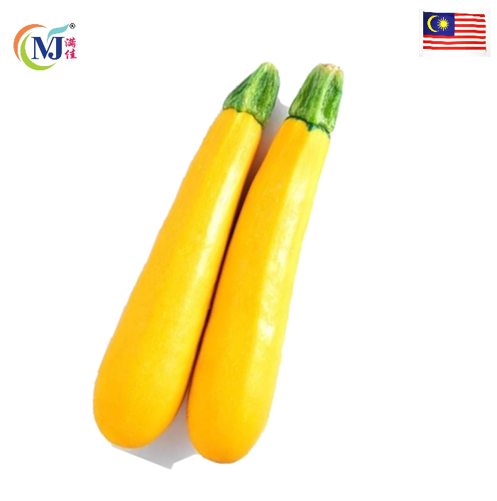 ZUCHINI YELLOW