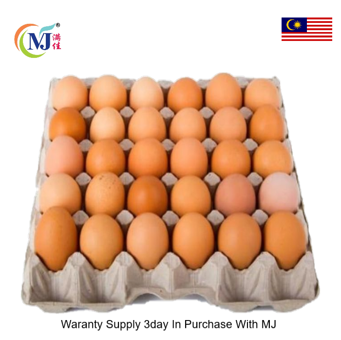 CHICKEN EGG M'sia 30pcs/tray