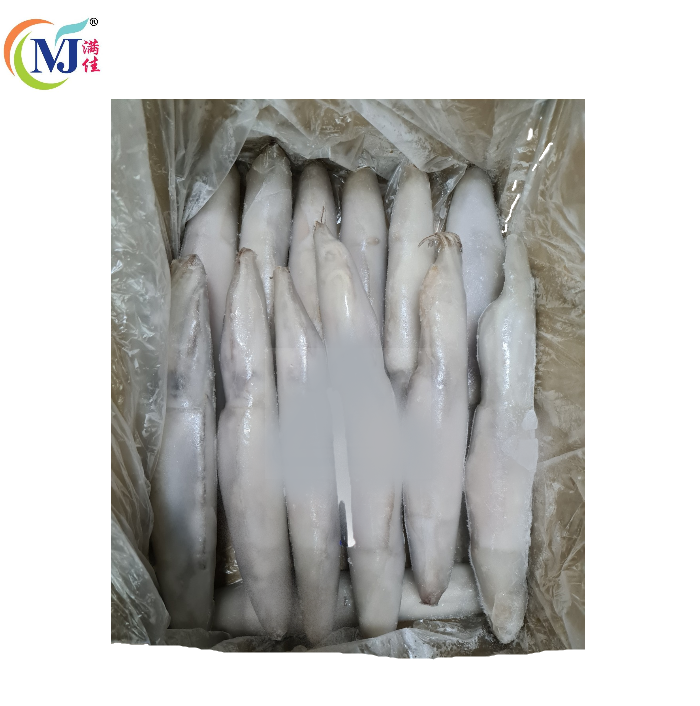 SOTONG 阿根廷 IQF 30% 玻璃