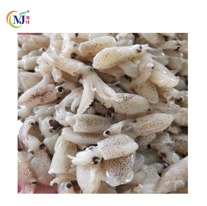 SQUID MINI/GOLDEN 苏东珠 500g+-/pack