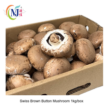 BUTTON MUSHROOM Swiss Brown