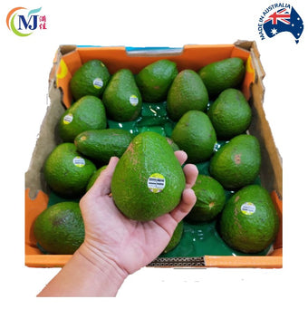 AVOCADO Australian Queensland