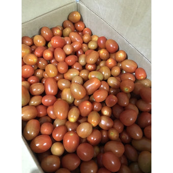 TOMATO CERI MERAH Cameron 10kg/kotak