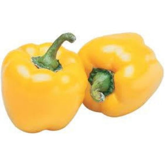 BELL PEPPER Yellow/Cili Apple Kuning