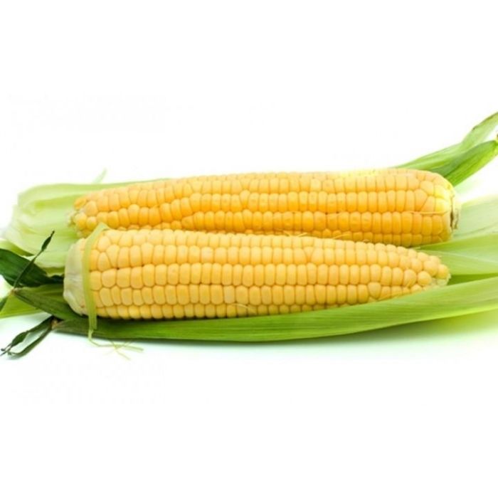 CORN WHOLE SWEET SkinOn Fresh