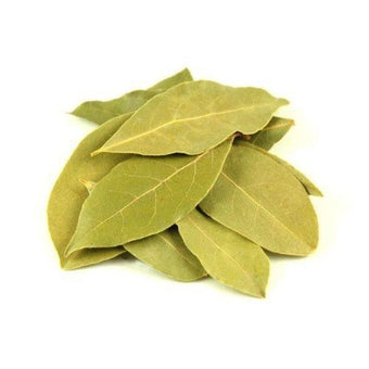 BAY LEAF HERB Dried/Daun Salam Kering Italy