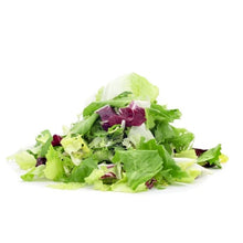 SALAD MIXED/ MESCLUN Cameron