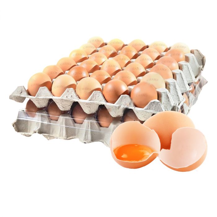 CHICKEN EGG M'sia 30pcs/tray