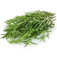 ROSEMARY Fresh