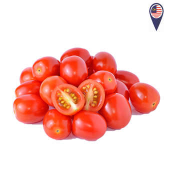 TOMATO CERI MERAH Cameron 10kg/kotak