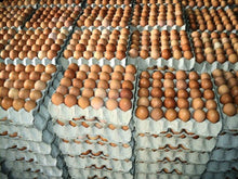 CHICKEN EGG M'sia 30pcs/tray